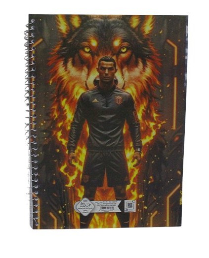 Wire-bound notebook, 100 lined pages, 20*28cm, imported white paper, 60gm