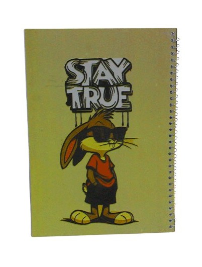 Wire-bound notebook, 100 lined pages, 20*28cm, imported white paper, 60gm