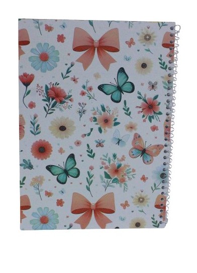 Wire-bound notebook, 100 lined pages, 20*28cm, imported white paper, 60gm
